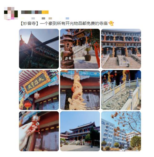 財神殿前的年輕身影 身份證開光與文化傳播新象